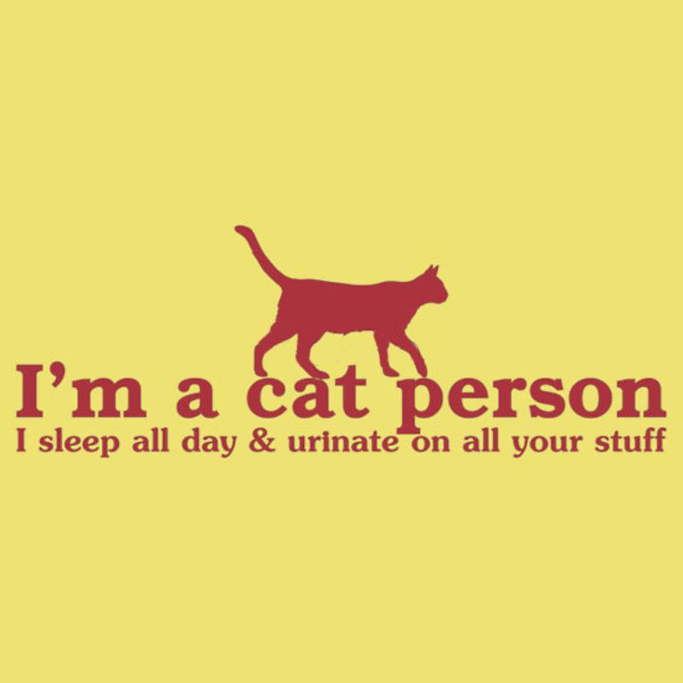 I'm A Cat Person