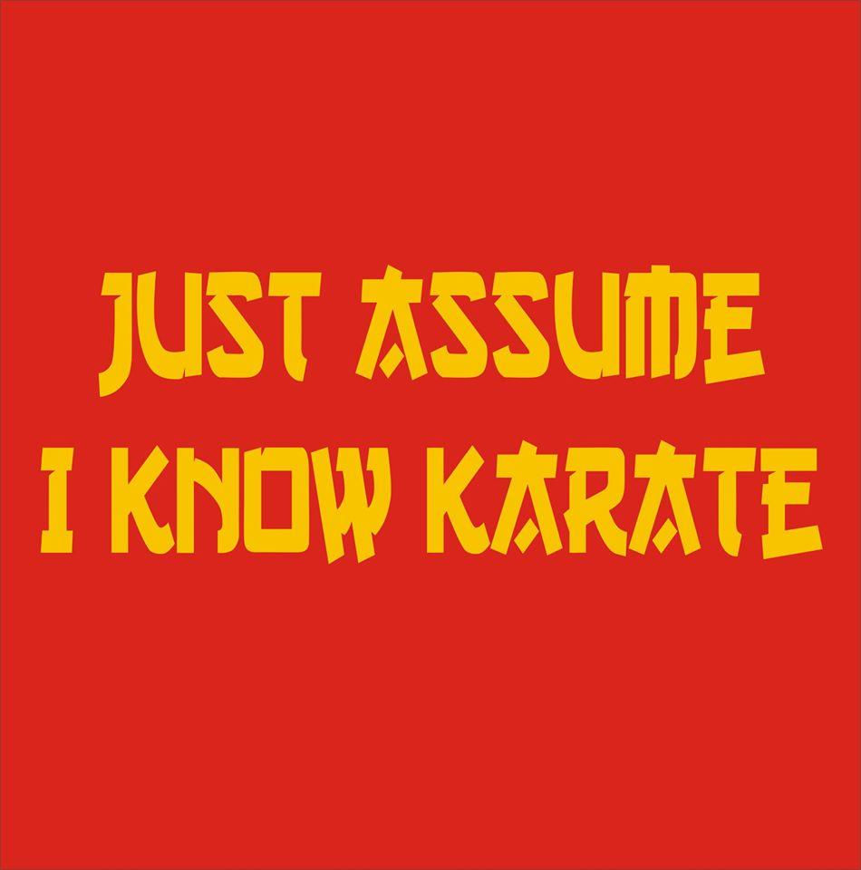 Just Assume I Know Karate
